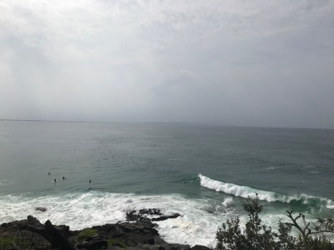 Noosa National Park Walk 2