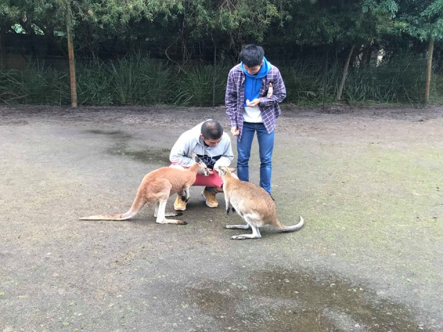 67358608_352459262320290_6937251697852940288_n