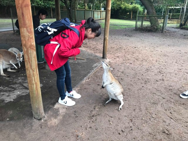 67541996_344490029796321_2735370512254369792_n