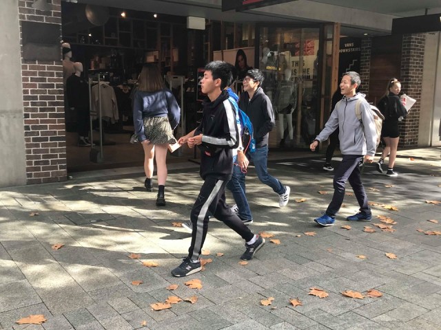 67543833_2278117815576853_4474812798047617024_n