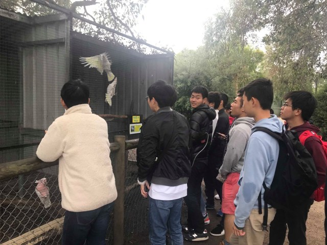 67543836_391754691693628_5277446446554021888_n