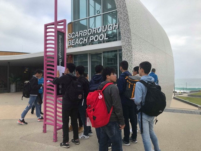 67625372_332342771053609_8830710540218138624_n