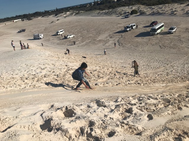 2AE2DDF8-C898-4286-9EBF-E70F9723C5F6