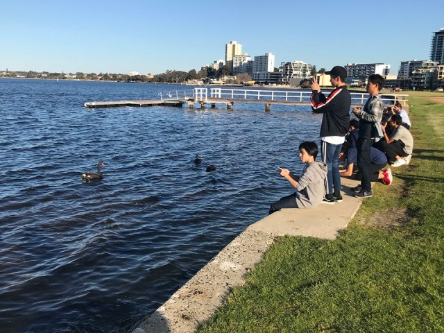 67683196_2262083330535183_8038204171192631296_n