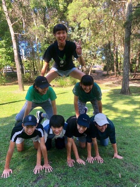 68271696_2321399558108656_6323726185238888448_n