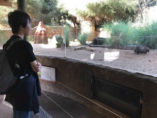 69239868_408235403131097_1883276784871407616_n