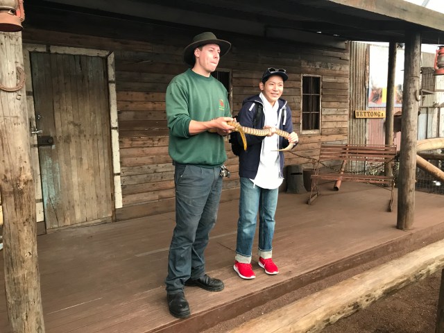 84C1D99E-6FF1-4525-AFFB-0EE722D9FC35