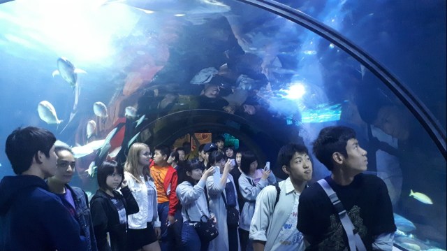 IMG_20190819_141311_357